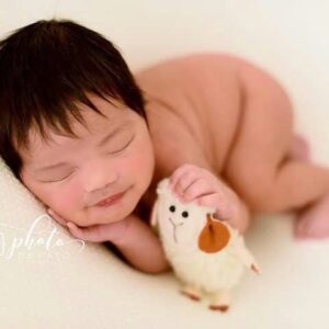 Amiguinho Ovelhinha Bege