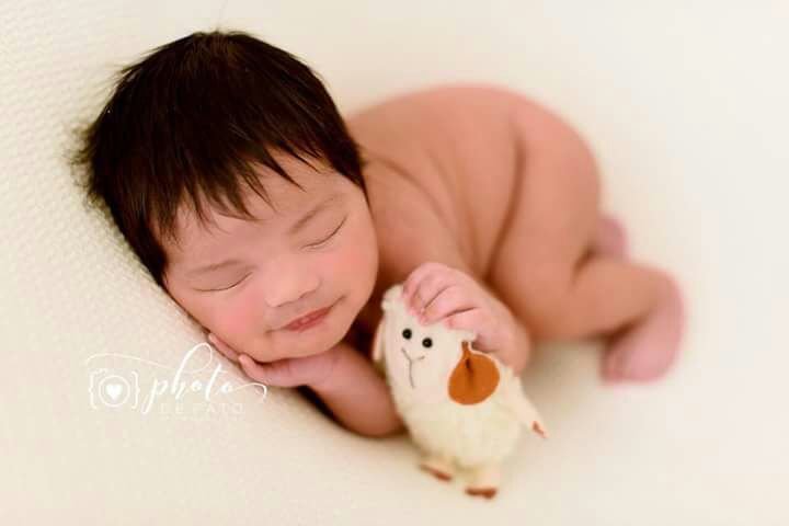 Amiguinho Ovelhinha Bege