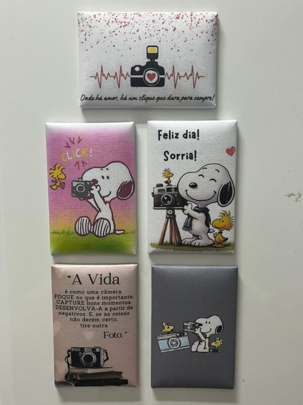 Combo de Imãs Criativos 01